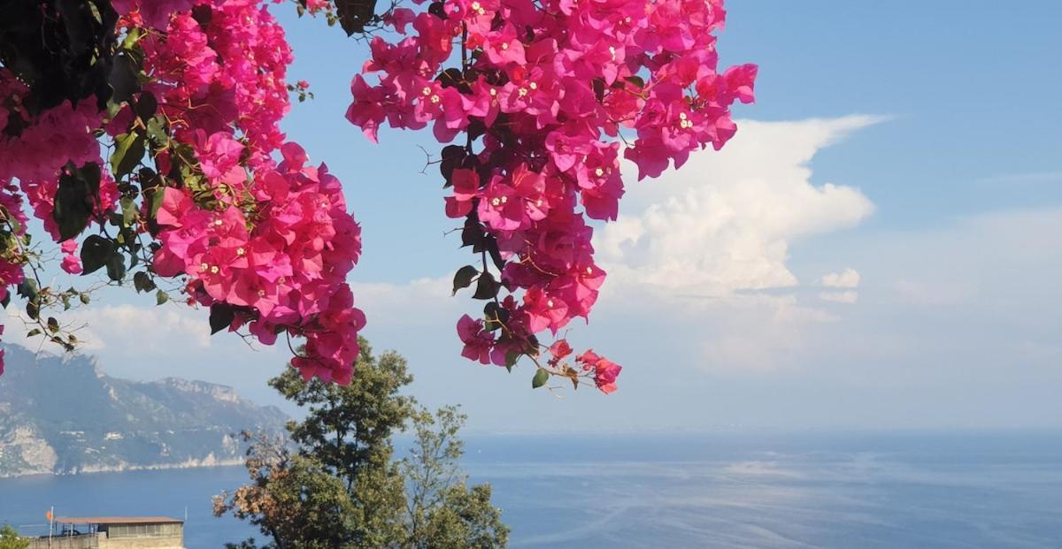 Appartamento Grace Seaview